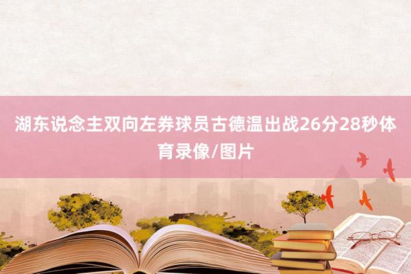 湖东说念主双向左券球员古德温出战26分28秒体育录像/图片