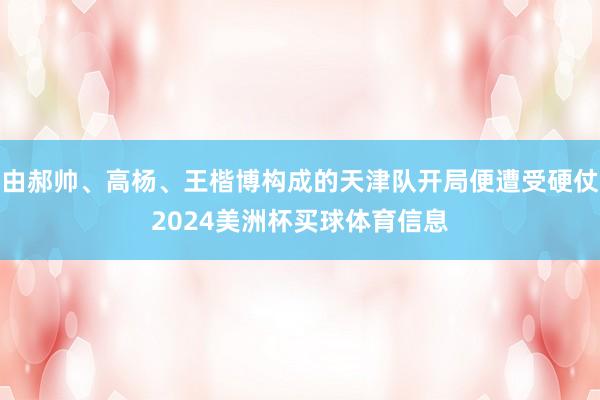 由郝帅、高杨、王楷博构成的天津队开局便遭受硬仗2024美洲杯买球体育信息