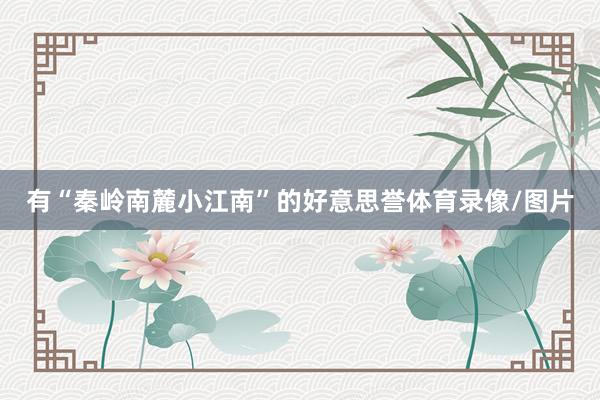 有“秦岭南麓小江南”的好意思誉体育录像/图片