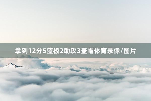拿到12分5篮板2助攻3盖帽体育录像/图片