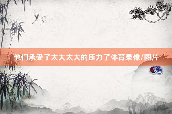 他们承受了太大太大的压力了体育录像/图片