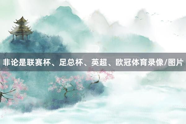 非论是联赛杯、足总杯、英超、欧冠体育录像/图片