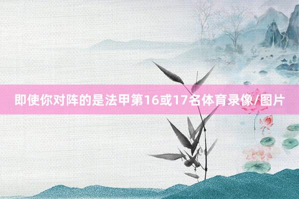 即使你对阵的是法甲第16或17名体育录像/图片