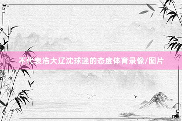 不代表浩大辽沈球迷的态度体育录像/图片