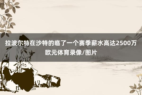拉波尔特在沙特的临了一个赛季薪水高达2500万欧元体育录像/图片