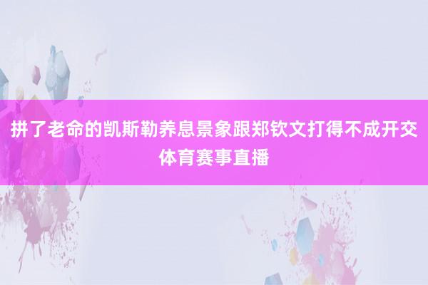 拼了老命的凯斯勒养息景象跟郑钦文打得不成开交体育赛事直播