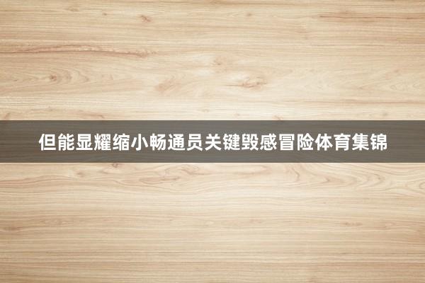 但能显耀缩小畅通员关键毁感冒险体育集锦