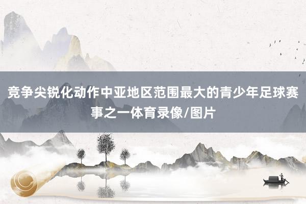 竞争尖锐化动作中亚地区范围最大的青少年足球赛事之一体育录像/图片