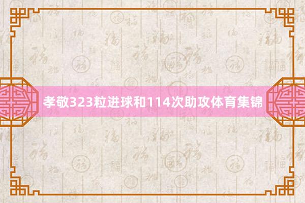孝敬323粒进球和114次助攻体育集锦