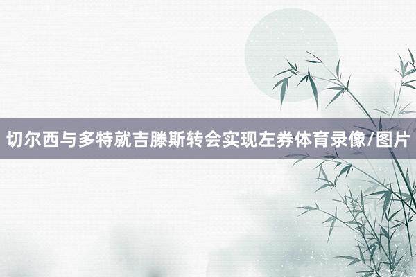 切尔西与多特就吉滕斯转会实现左券体育录像/图片