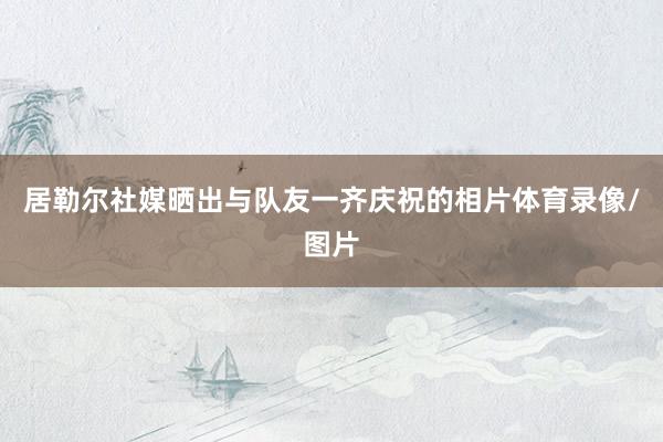 居勒尔社媒晒出与队友一齐庆祝的相片体育录像/图片
