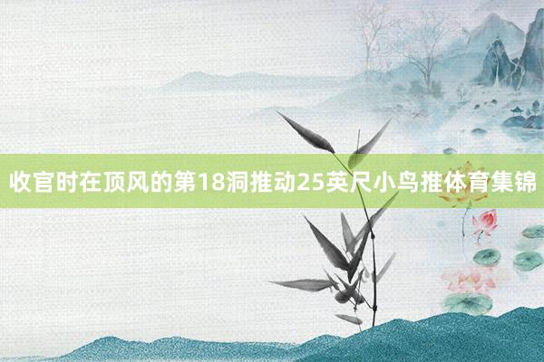 收官时在顶风的第18洞推动25英尺小鸟推体育集锦