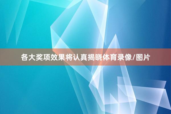 各大奖项效果将认真揭晓体育录像/图片