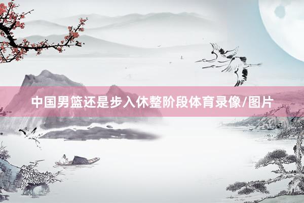 中国男篮还是步入休整阶段体育录像/图片