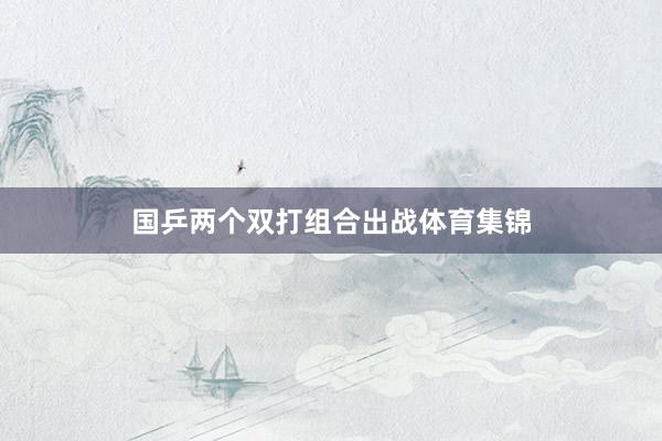 国乒两个双打组合出战体育集锦