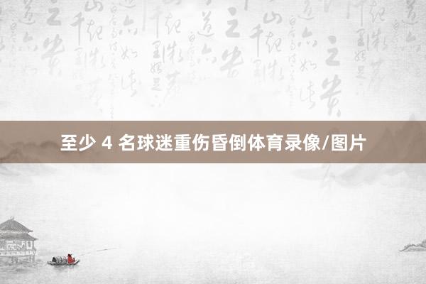 至少 4 名球迷重伤昏倒体育录像/图片