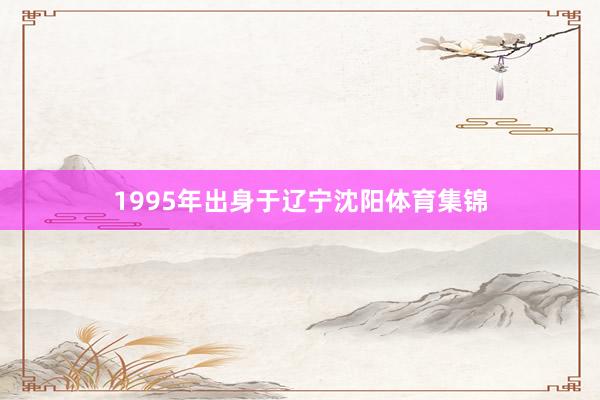 1995年出身于辽宁沈阳体育集锦