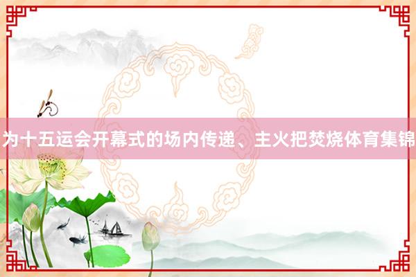 为十五运会开幕式的场内传递、主火把焚烧体育集锦