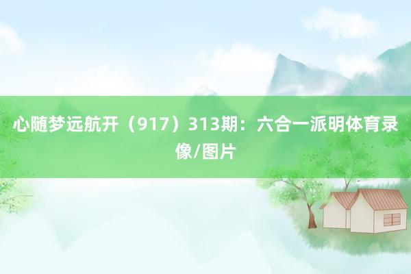 心随梦远航开（917）　　313期：六合一派明体育录像/图片