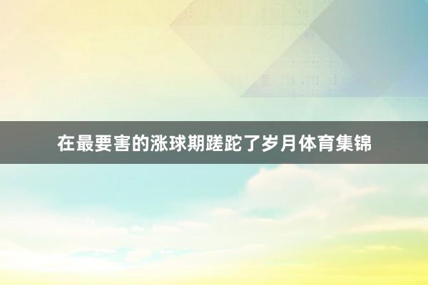 在最要害的涨球期蹉跎了岁月体育集锦