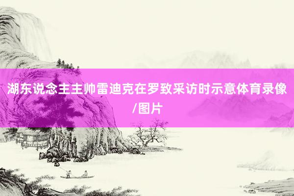 湖东说念主主帅雷迪克在罗致采访时示意体育录像/图片
