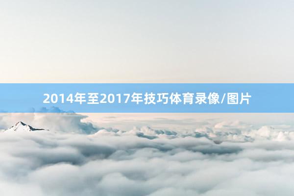 2014年至2017年技巧体育录像/图片