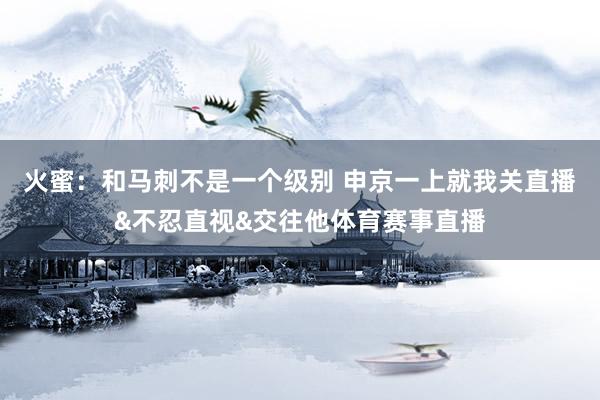 火蜜：和马刺不是一个级别 申京一上就我关直播&不忍直视&交往他体育赛事直播