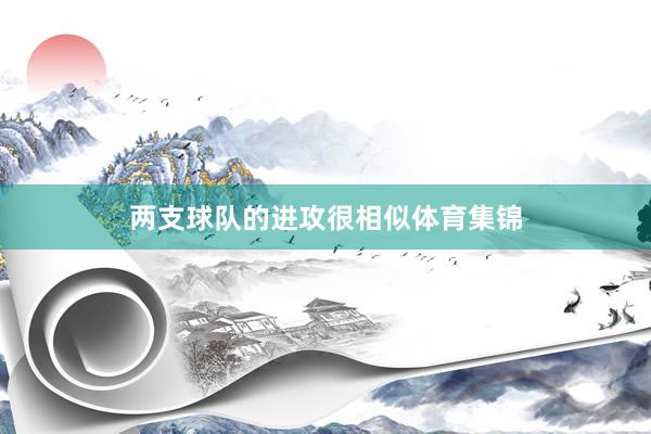 两支球队的进攻很相似体育集锦