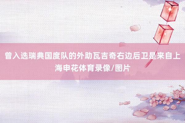 曾入选瑞典国度队的外助瓦吉奇右边后卫是来自上海申花体育录像/图片
