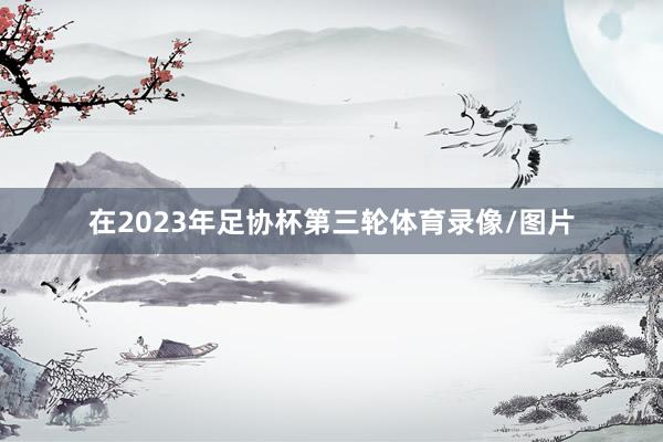 在2023年足协杯第三轮体育录像/图片