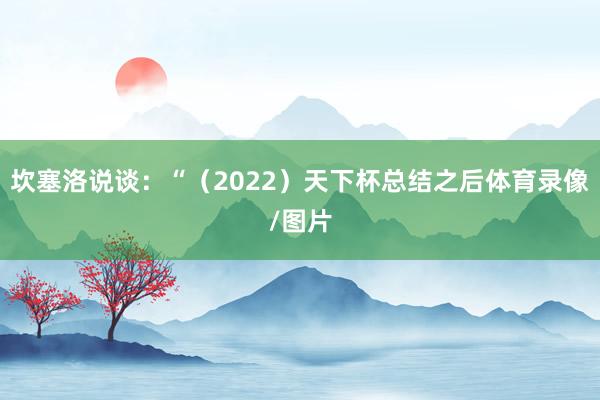 坎塞洛说谈：“（2022）天下杯总结之后体育录像/图片