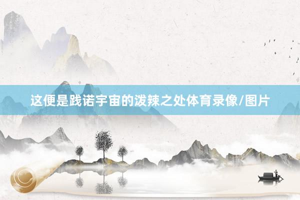 这便是践诺宇宙的泼辣之处体育录像/图片