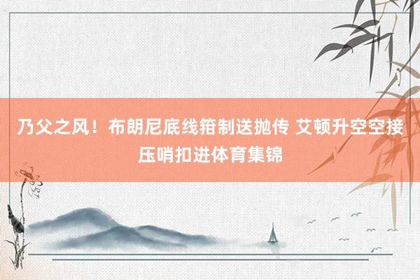 乃父之风！布朗尼底线箝制送抛传 艾顿升空空接压哨扣进体育集锦