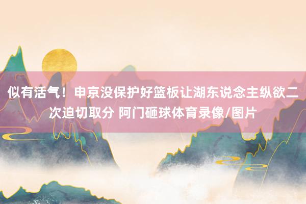 似有活气！申京没保护好篮板让湖东说念主纵欲二次迫切取分 阿门砸球体育录像/图片
