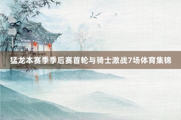 猛龙本赛季季后赛首轮与骑士激战7场体育集锦