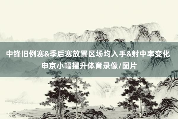 中锋旧例赛&季后赛放置区场均入手&射中率变化 申京小幅擢升体育录像/图片