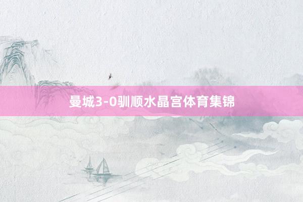 曼城3-0驯顺水晶宫体育集锦