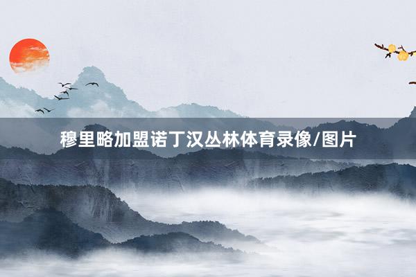 穆里略加盟诺丁汉丛林体育录像/图片