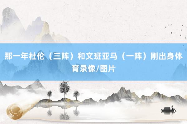 那一年杜伦（三阵）和文班亚马（一阵）刚出身体育录像/图片