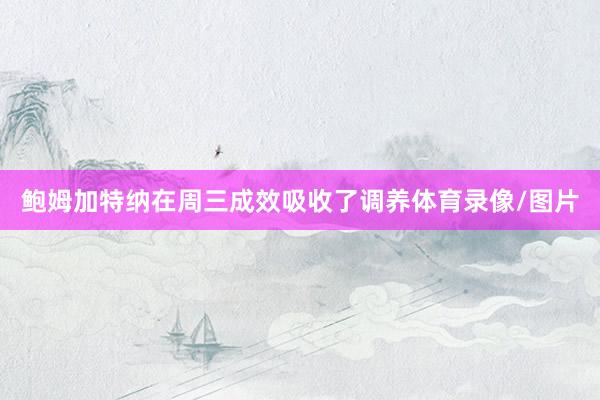 鲍姆加特纳在周三成效吸收了调养体育录像/图片