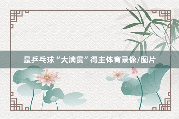 是乒乓球“大满贯”得主体育录像/图片
