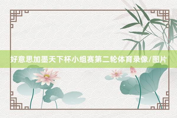 好意思加墨天下杯小组赛第二轮体育录像/图片