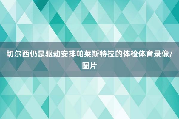 切尔西仍是驱动安排帕莱斯特拉的体检体育录像/图片