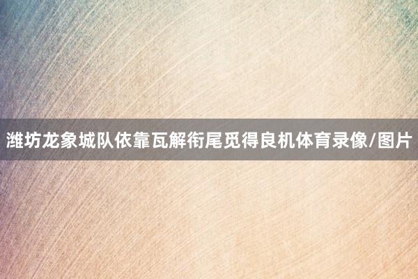 潍坊龙象城队依靠瓦解衔尾觅得良机体育录像/图片